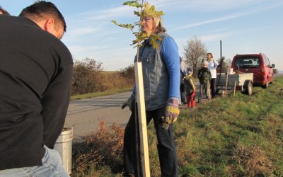 Poděkování za údržbu alejí